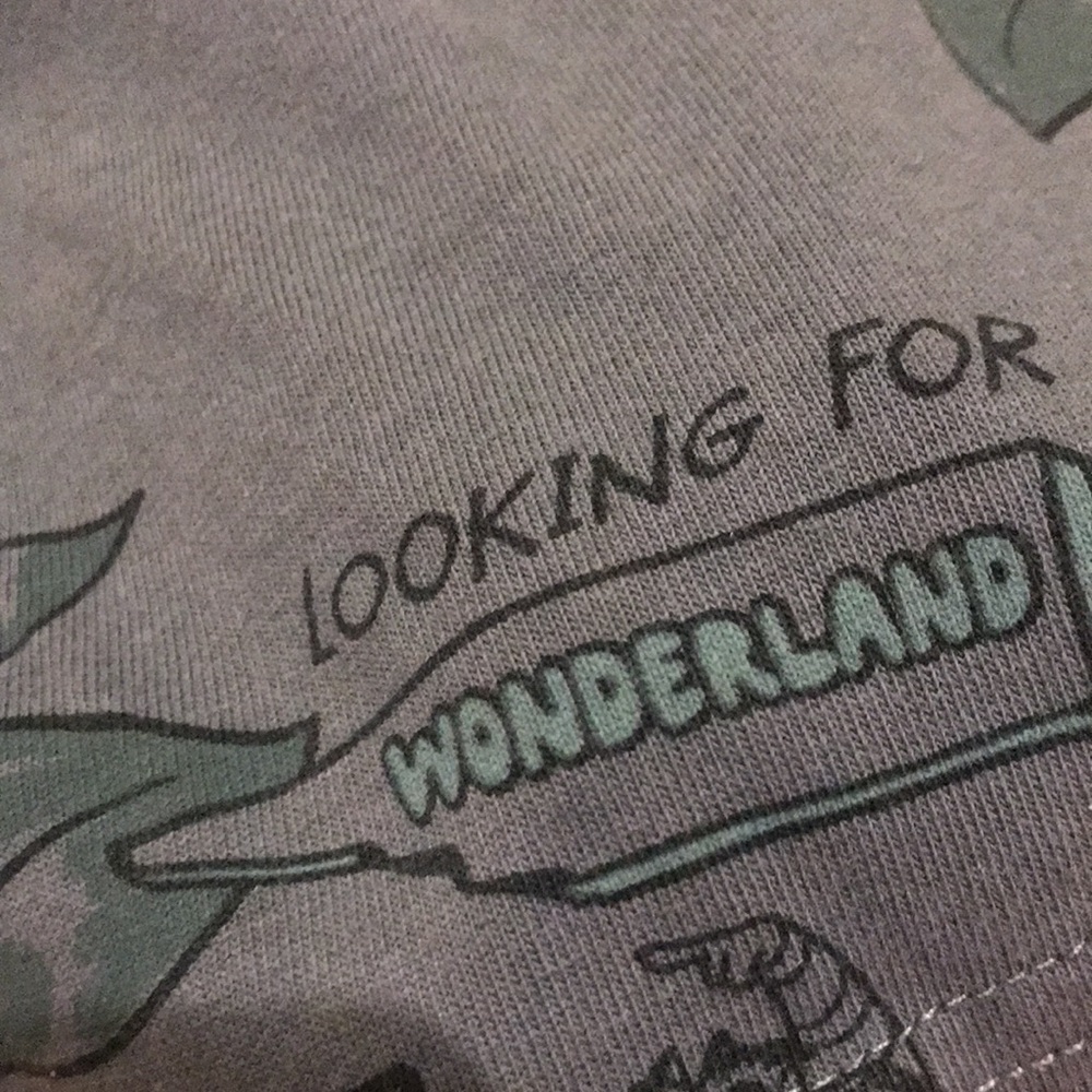 Disney Alice in Wonderland Blue Floral Long Sleeve Lightweight Sweatshirt M - Picture 5 of 5